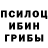 Галлюциногенные грибы Cubensis Simone Fiore