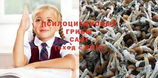 амфетамин Бикин