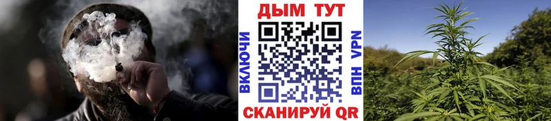 что такое наркотик  Гдов  Марихуана ГИДРОПОН 